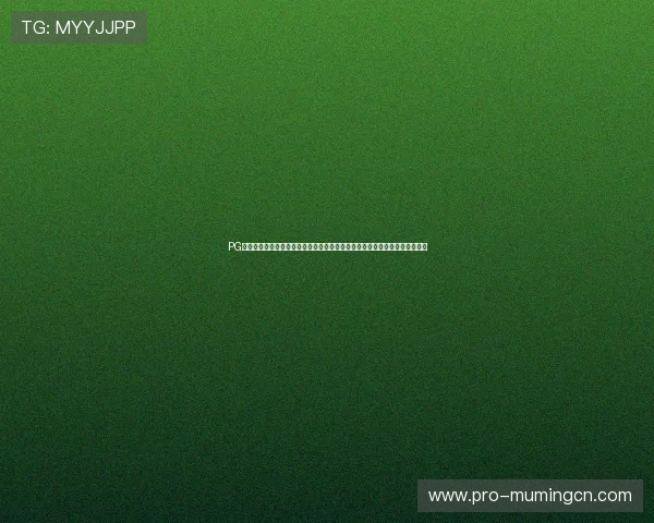 PG十大电子娱乐网站在世界杯期间的特色体育报道，助你第一时间掌握比赛动态
